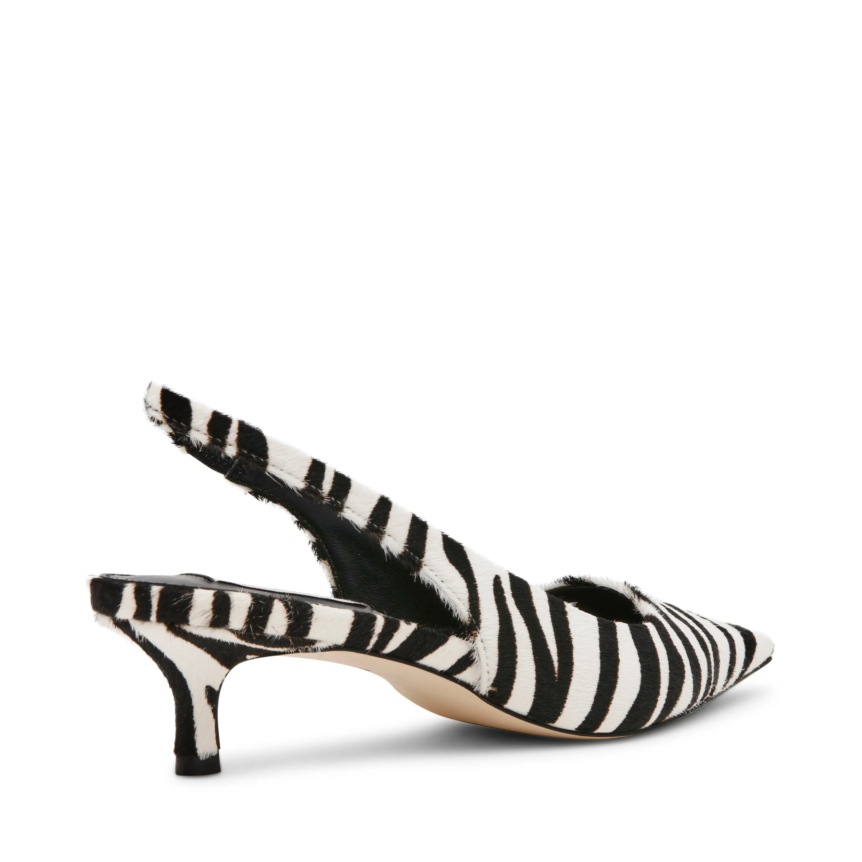 Kari Pompe ZEBRA