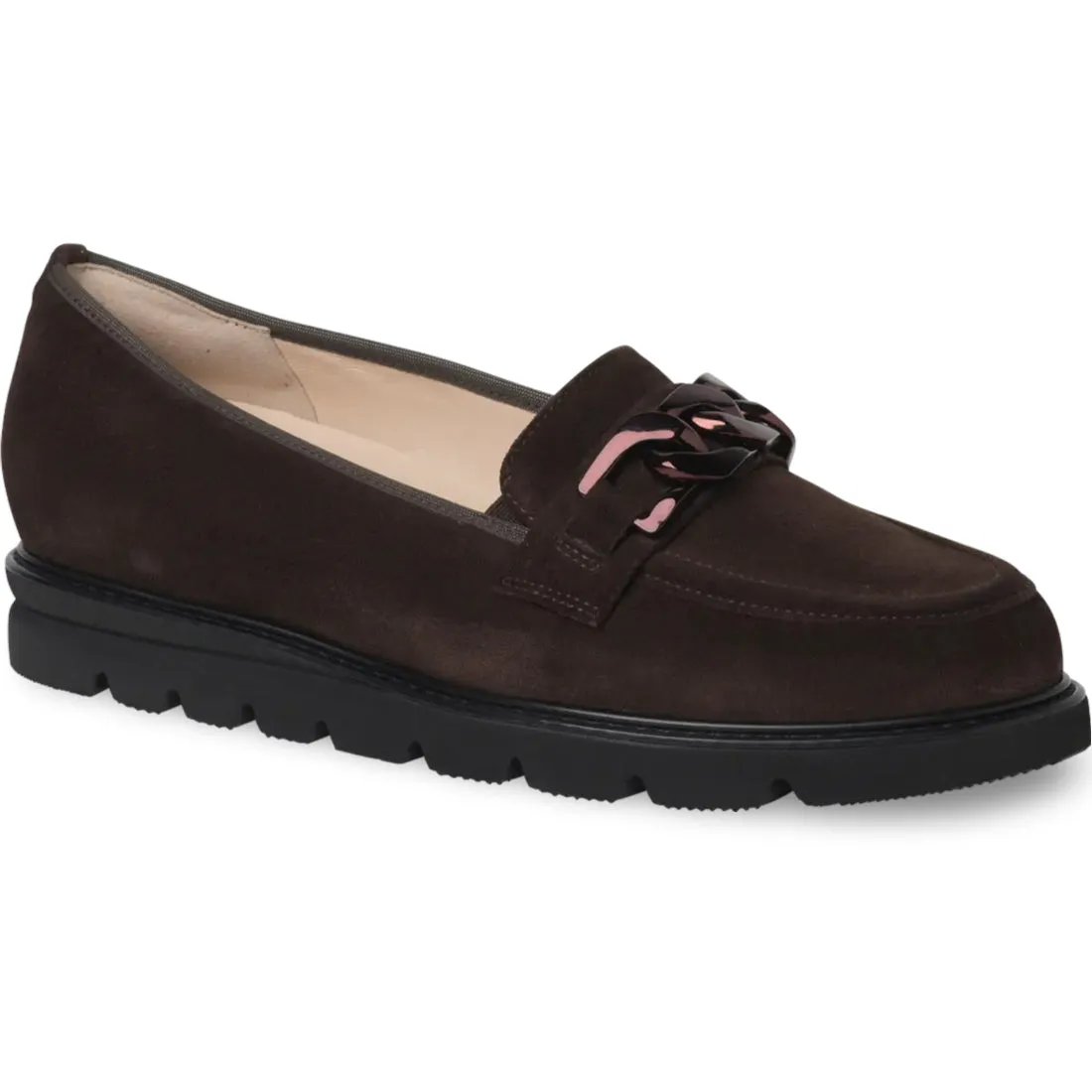 Pisa 301578 Brun Foncé