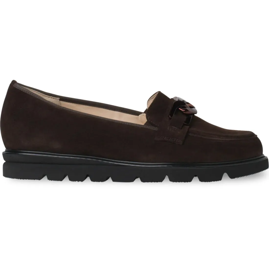 Pisa 301578 Brun Foncé