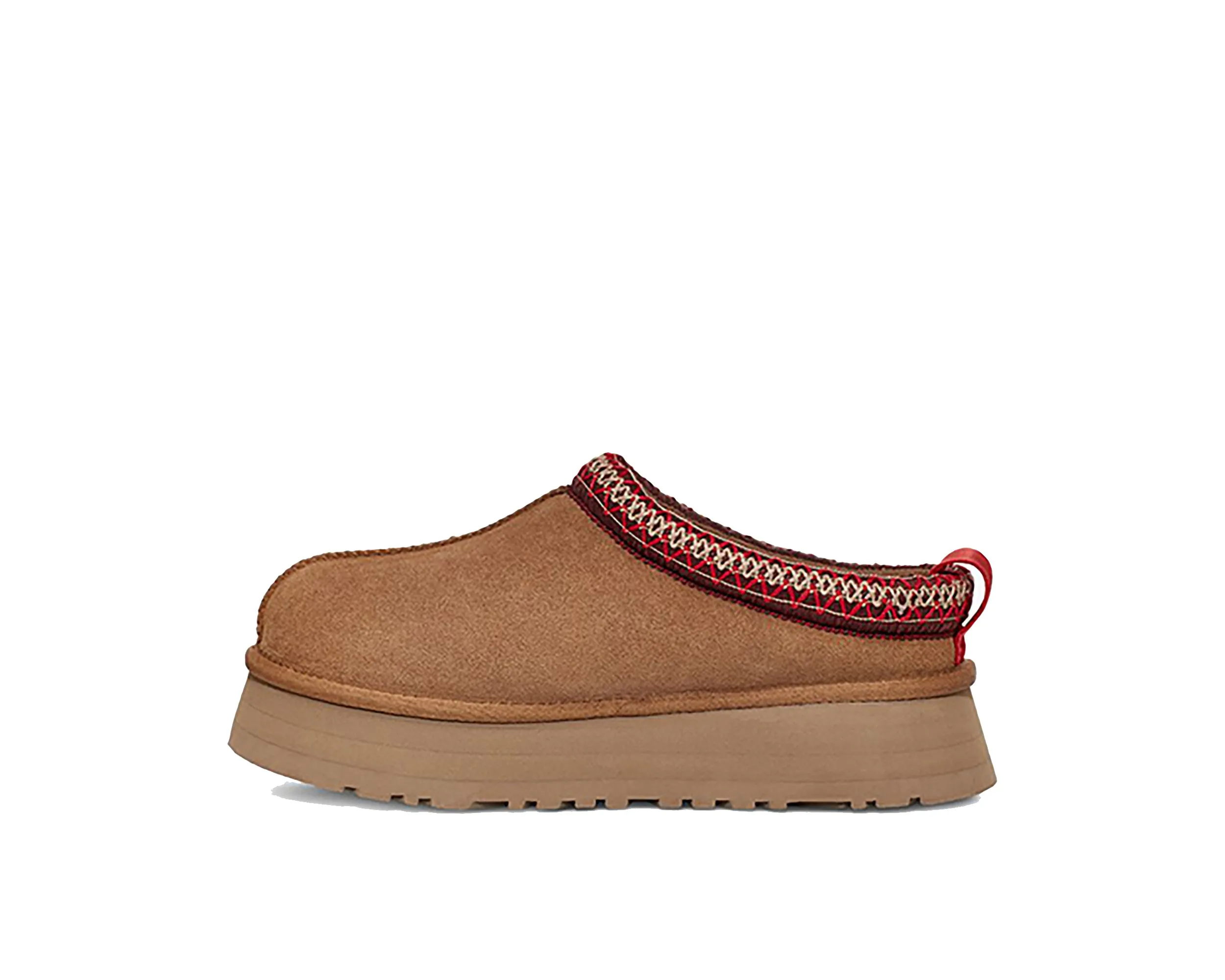 Pantoufles Tazz pour Femmes